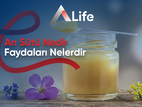 Arı Sütü Nedir? Faydaları Nelerdir?