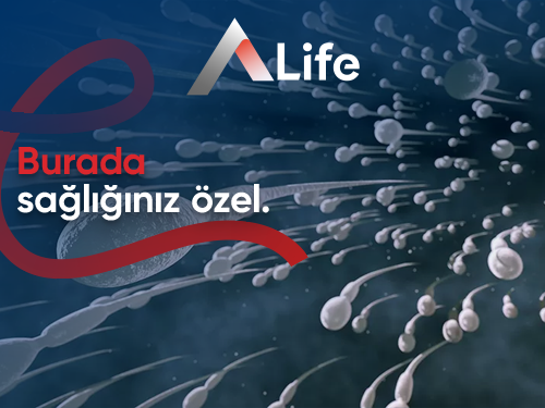 Meni Nedir?