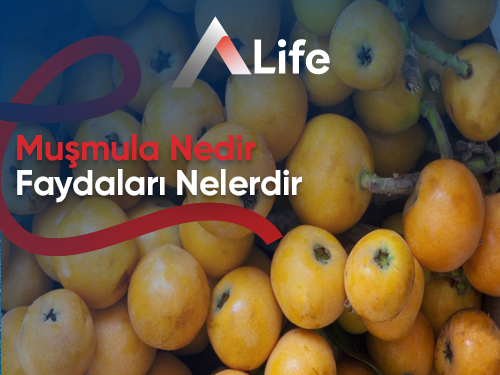 Muşmula Nedir? Faydaları Nelerdir?