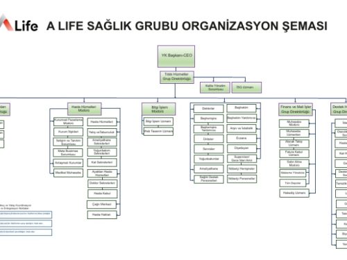 Organizasyon Şeması